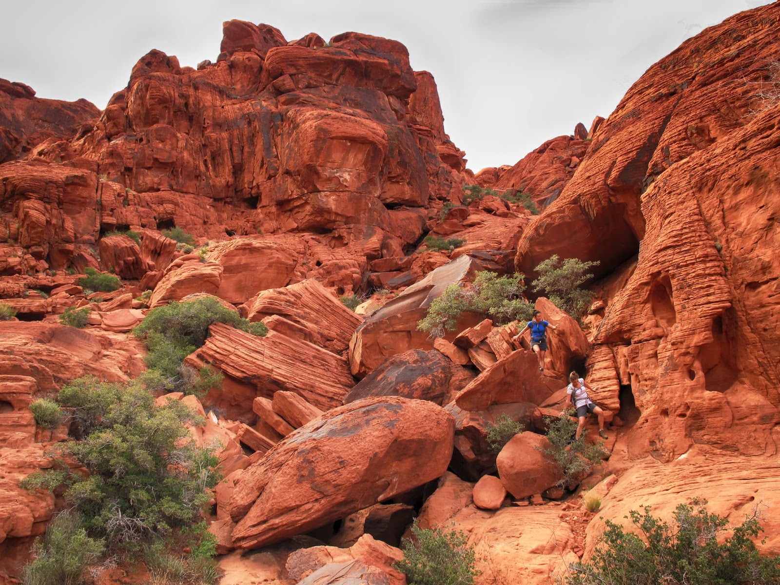 Petition To Block Destruction Of Red Rock Gets 30 000 Signatures 